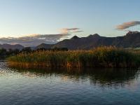Morgenstimmung am Chiemsee mit Schilfgürtel und leuchtenden Wolkenhaufen über den Bergen